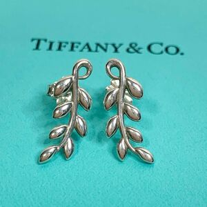 美品 TIFFANY&Co. オリーブリーフ クライマー ピアス シルバー y1