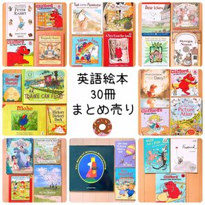 英語絵本30冊まとめ売り(E) English picture books