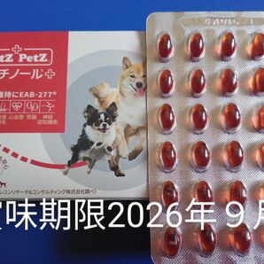 アンチノールプラス　犬用アンチノール