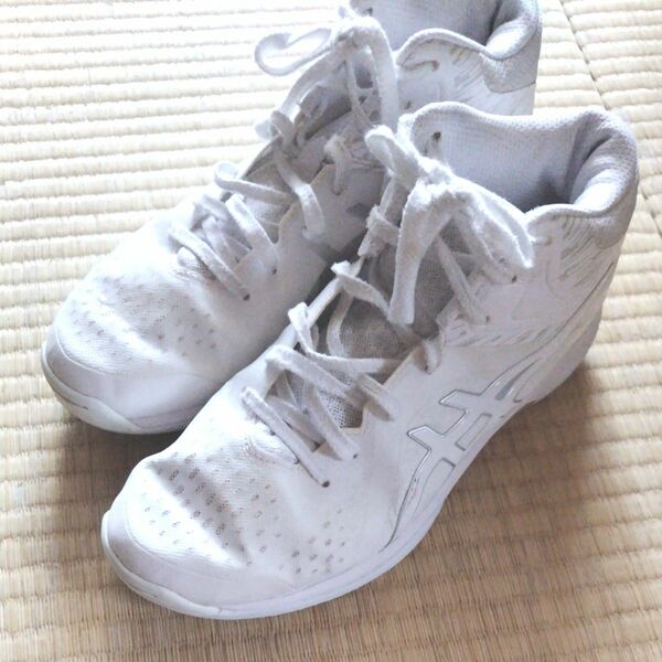 asics バスケットシューズ LADY GELFAIRY 8 レディゲルフェアリー8 TBF403-106