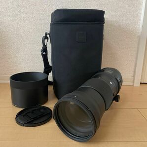 SIGMA シグマ 150-600mm F5-6.3 DG OS Canon カメラレンズ HSM