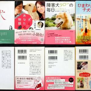 『 犬 エッセイ / 小説 34冊 』＊星守る犬. 犬が伝えたかったこと. 少年と犬. 昭和の犬. 世界にたったひとつの犬と私の物語. 犬心の画像3