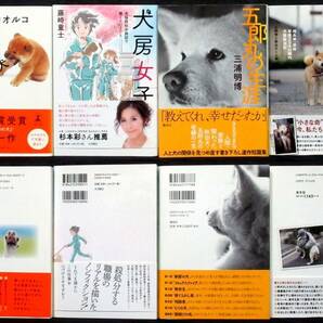 『 犬 エッセイ / 小説 34冊 』＊星守る犬. 犬が伝えたかったこと. 少年と犬. 昭和の犬. 世界にたったひとつの犬と私の物語. 犬心の画像7