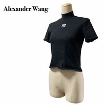 Alexander Wang アレクサンダーワン ボディコンニット モックネックトップス 黒 S 伸縮性_画像2