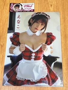 e.. both sides clear file 1 sheets B type Lawson *HMV limitation manga action 