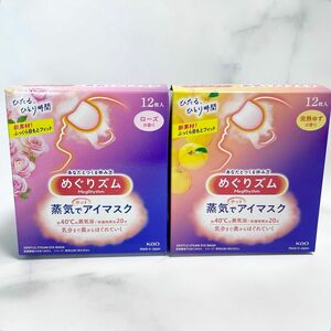 新品★めぐりズム 蒸気でホットアイマスク ローズ 完熟ゆず 24枚セット