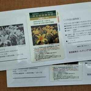 阪急阪神ホールディングス 株主回数乗車証[4回カード] 2枚セットの画像1