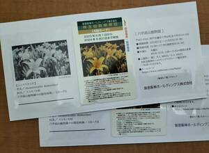 阪急阪神ホールディングス　株主回数乗車証[4回カード] 2枚セット
