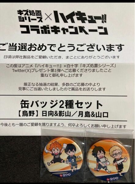 ハイキュー！！缶バッジ 当選品 白十字　日向&影山　月島&山口 グッズセット