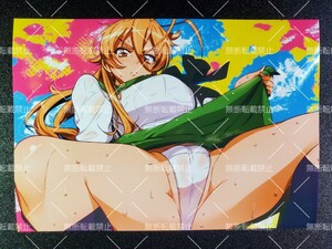 HIGH SCHOOL OF THE DEAD　ハイスクールオブザデッド　HOTD　宮本麗　A　写真　イラスト　同人　ファンアート　イラストアート　2L判