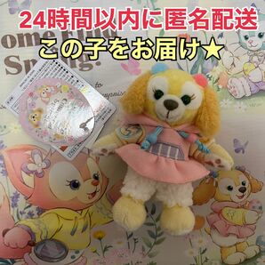 【完売品】カムファインドスプリング★ぬいぐるみバッジ★クッキーアン