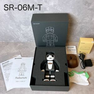 RoBoHoN ロボホン SR-06M-T 限定 ブラウン SHARP シャープ　充電器　取扱説明書付き