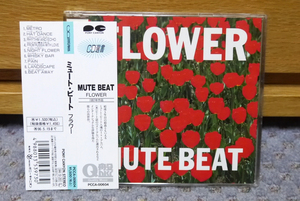 MUTE BEAT ミュート・ビート / CD選書「FLOWER」 こだま和文