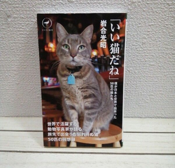 『 いい猫だね 』◆ 岩合光昭 / ネコ フォト 写真 × エッセイ
