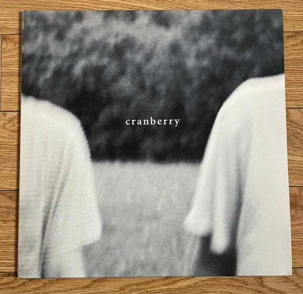 hovvdy - cranberry LP レコード