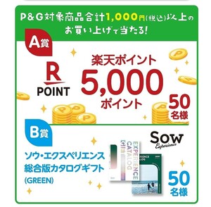 懸賞 応募　楽天 5000ポイント ソウ・エクスペリエンスカタログギフト 　西友×P&G　家計を楽に、自然を楽しむ！キャンペーン　当たる