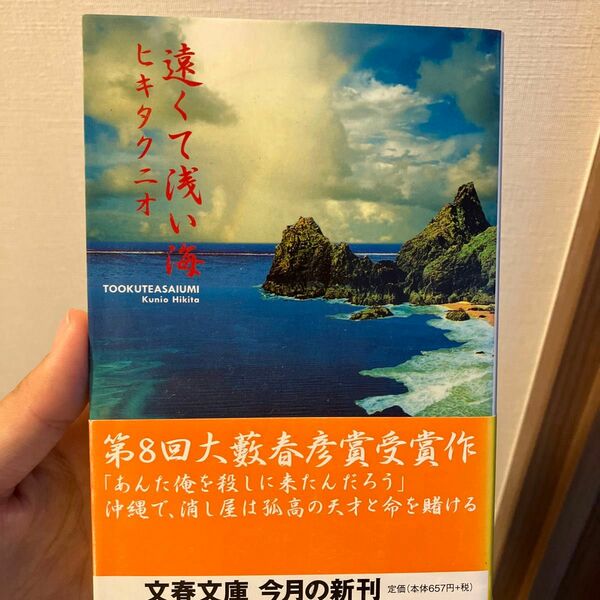 遠くて浅い海 （文春文庫　ひ１６－３） ヒキタクニオ／著