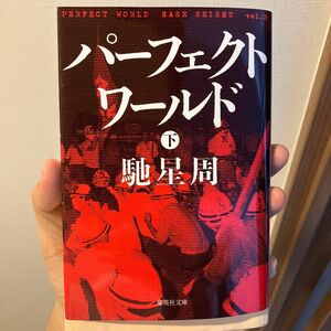 パーフェクトワールド　下 （集英社文庫　は３１－９） 馳星周／著