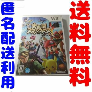 大乱闘スマッシュブラザーズX　 Wii　ソフト ゲームソフト
