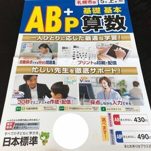 2636 AB＋P基礎基本算数 5年 日本標準 小学 ドリル 問題集 テスト用紙 教材 テキスト 解答 家庭学習 計算 漢字 過去問 ワーク 勉強 非売品