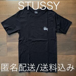 STUSSY ステューシー ブラック ショーンフォント ビッグロゴ ワールド