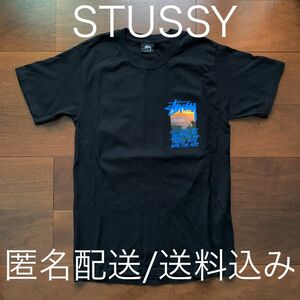 STUSSY ステューシー ブラック 黒 ショーンフォント ビッグロゴ サーフ ラスタ SS link