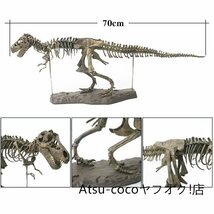 70cm ティラノサウルス レックス ジュラシック 大恐竜 化石 骨 モデルキット プラモデル キット 組み立て式_画像1