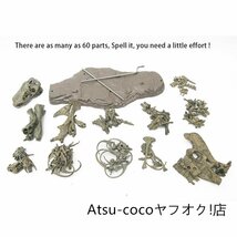 70cm ティラノサウルス レックス ジュラシック 大恐竜 化石 骨 モデルキット プラモデル キット 組み立て式_画像2