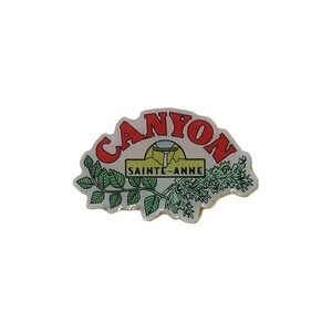 ピンズ ピンバッジ ピンバッチ 留め具付き 地域 CANYON SAINTE-ANNE カナダ