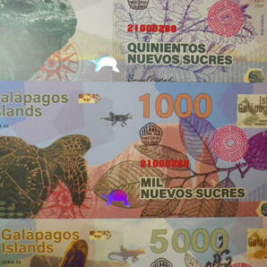 ガラパゴス諸島 2021年 ポリマー 6種6枚 未使用 (ファンタジー）海カメ、ゾウカメ、海イグアナの画像2