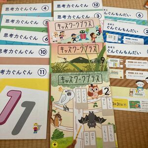 こどもちゃれんじ ベネッセすてっぷ思考力特化コース思考力ぐんぐんキッズワークプラス未使用分10冊セット+おまけ年中