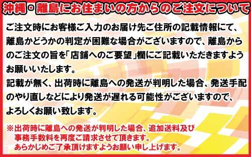 295/40R20 110Y XL AO 4本セット ピレリ P ZERO ROSSO P ゼロ ロッソ SUV 295/40R20 110Y XL AO 4本セット ピレリ P ZERO ROSSO P ゼロ ロッソ SUV