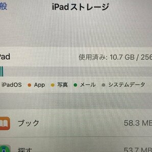 Apple アップル iPad mini 第6世代 WiFiモデル 256GB MLWR3J/A タブレット ピンク 8.3インチ 03210Sの画像9