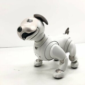 SONY ソニー AIBO アイボ 自律型 エンタテインメントロボット バーチャルペット 人感センサー Wi-Fi対応 ERS-1000 アイボーン付き 04024Nの画像7