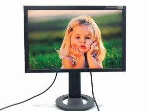 EIZO ナナオ FlexScan SX2262W モニター 液晶ディスプレイ 22型 ワイド ノングレア VAパネル WUXGA表示対応 スイーベル Y04158S