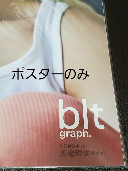 blt graph. 渡邉理佐 ポスター