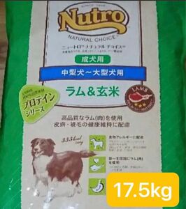 ナチュラルチョイス ラム玄米 中大型犬成犬用 ドッグフード