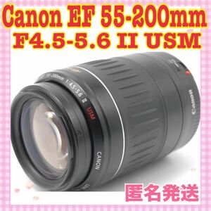 ☆大人気☆ 望遠レンズ　Canon キャノン　EF 55-250mm II USM