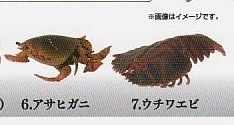 いきもの大図鑑ミニコレクション 甲殻類01　アサヒガニ・ウチワエビ 2種セット