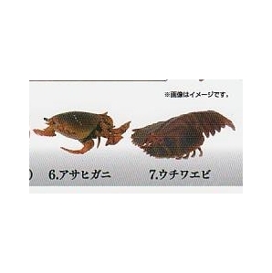 いきもの大図鑑ミニコレクション 甲殻類01 アサヒガニ・ウチワエビ 2種セットの画像1