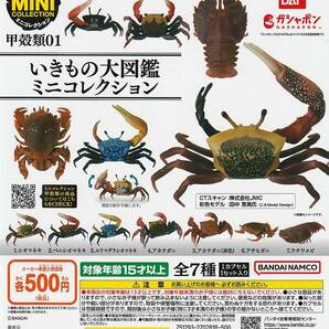 いきもの大図鑑ミニコレクション 甲殻類01 アサヒガニ・ウチワエビ 2種セットの画像2