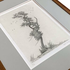 【SHIN】長谷川潔「アカシヤの老樹」銅版画 オー・フォルト ed.39/60 1954年作 額装 真作保証 Kiyoshi Hasegawaの画像9