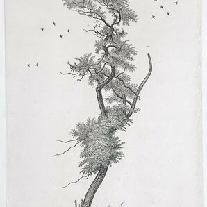 【SHIN】長谷川潔「アカシヤの老樹」銅版画 オー・フォルト ed.39/60 1954年作 額装 真作保証 Kiyoshi Hasegawaの画像2