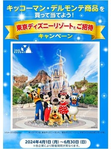 レシート懸賞★Bコース 東京ディズニーリゾート パークチケット ペアが当たる！ご招待キャンペーン★応募 はがき付 キッコーマン 