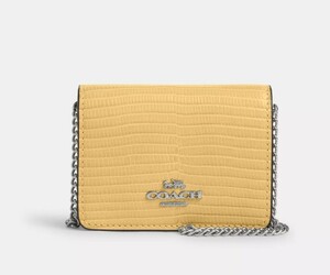 US限定☆日本未発売カラー☆2024春夏　COACH Mini Wallet On A Chain チェーン付きミニウォレット CR372　本物をお届けします☆