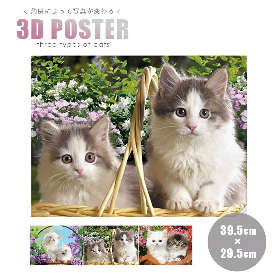 室内装饰 3D 猫 CAT 透镜动物 3D 艺术技巧入口绘画斯堪的纳维亚出租背景礼物礼物简单, 艺术品, 绘画, 其他的