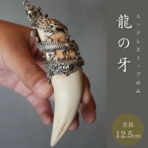 ネックレス 龍の牙 トップのみ ドラゴン 龍 アクセサリー メンズ ジュエリー スタイル お洒落アイテム レディース ヒップホップ レゲエ 