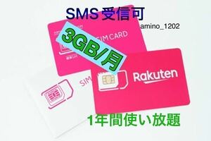 楽天プリペイドsimカード　月3GB高速データ通信専用 SMS受信可 データSIM SMS認証　02