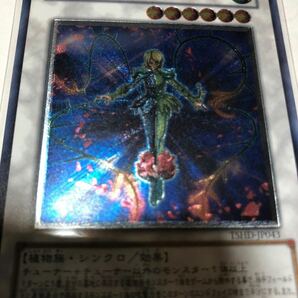 遊戯王カード 026 レリーフ スプレンディッド・ローズ 1枚 素人保管のため、中古商品としてご理解頂いてご入札ください。の画像3