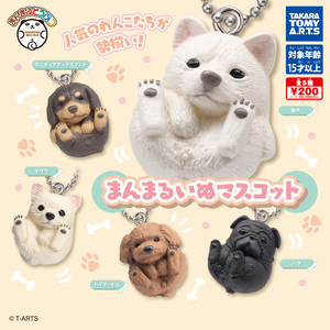 送料140円～まんまるどうぶつ まんまるいぬマスコット 全5種 トイプードル パグ 柴犬 ミニチュアダックスフンド チワワ フィギュア ガチャ